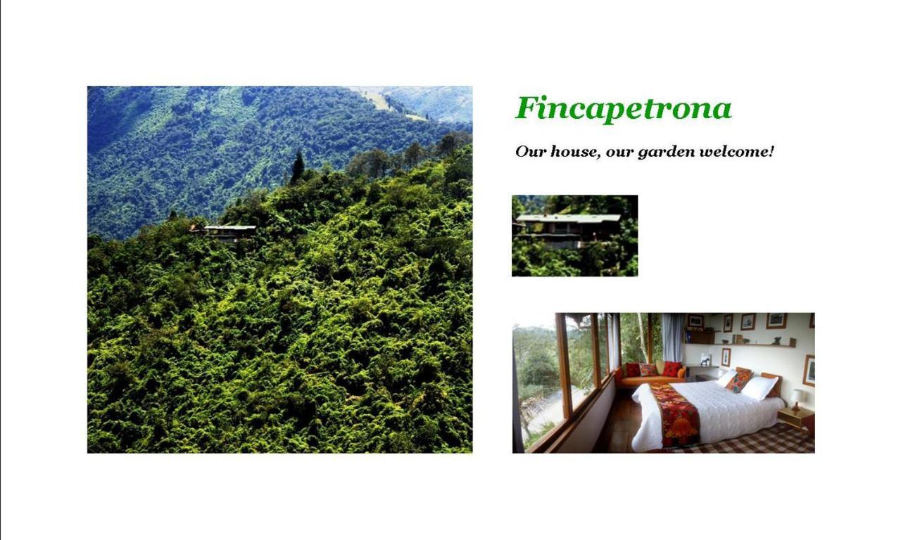 Finca Petrona Calacali Exterior photo
